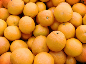 Vidange fosse septique Orange